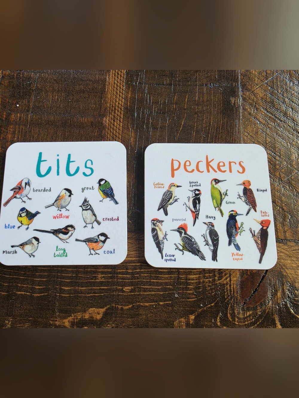 Humorous Bird Species Coasters - Orange & Multicolor Illustrated Set of 2